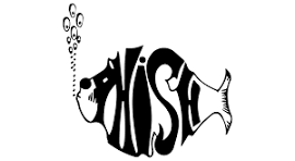 Phish & Goose the Band Merch